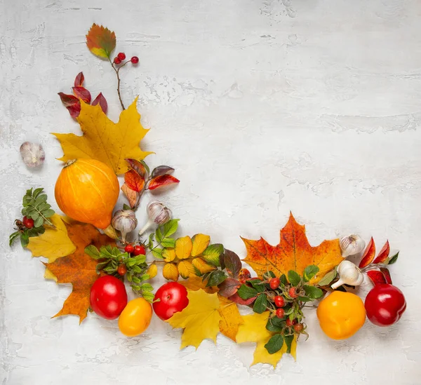 Frame from vegetables and autumn leaves. Pumpkin, tomatoes, garlic, rosehip leaves and fruits, maple leaves. Harvesting. Copy space, flat lay, top view.