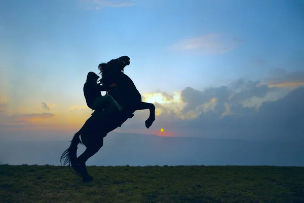 Silueta Jinete Levantando Caballo Sus Patas Traseras Contra Fondo Puesta — Foto de Stock