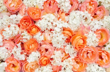 Taze turuncu gül ve beyaz ortanca çiçeklerinin romantik arkaplanı. Metin için kopyalama alanı olan botanik afişi.