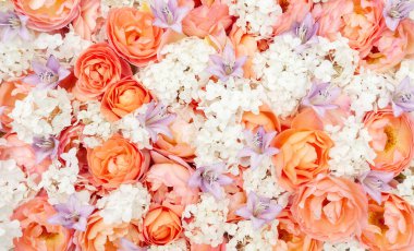 Güllerin ve ortancaların turuncu ve pembe tonlarda ve fotokopi alanlarıyla süslü çiçek arkaplanı. Sevgililer Günü için tasarım şablonu, yıldönümü, düğün davetiyesi ya da tebrik kartı için taze çiçekler.