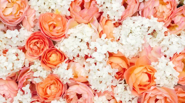 Çiçek tasarım şablonu, davetiyeler için fotokopi alanı, sevgililer günü kartları, evlilik yıldönümü, anneler günü. Portakal gülleri ve beyaz ortanca büyük bir buket.