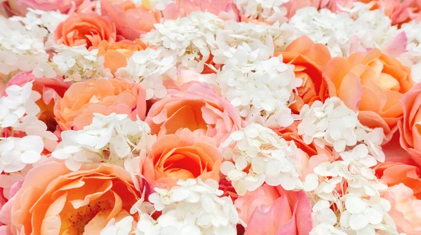 Fundo Floral Rosas Laranja Hortênsia Branca Para Modelo Design Para — Fotografia de Stock