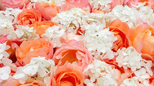 Pastel renklerde gül ve ortanca çiçekli narin bir pankart. Bahçedeki çiçeklerin turuncu renkte olduğu botanik arka plan. Kopya alanı olan çiçekli tasarım şablonu.