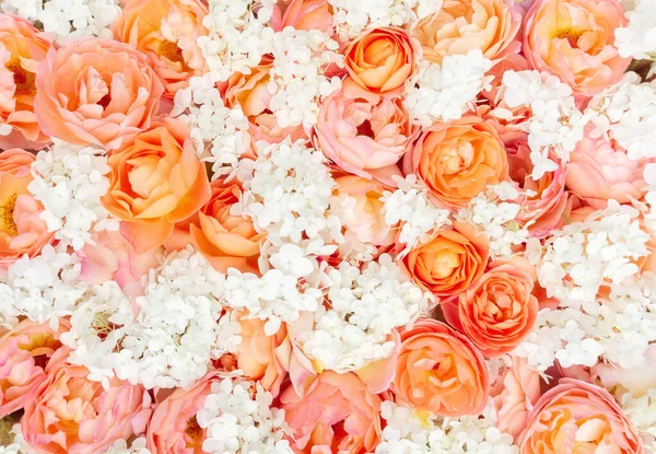 Textura Com Flores Rosas Hortênsias Fabuloso Fundo Floral Tons Laranja — Fotografia de Stock