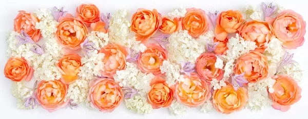 Banner Floral Cores Laranja Fundo Floral Com Rosas Hortênsias Sinos — Fotografia de Stock