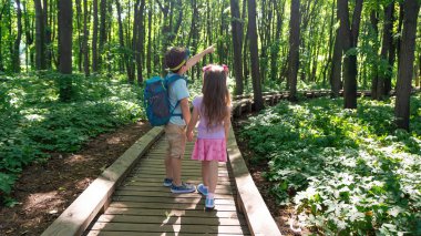 Bir erkek ve bir kız el ele tutuşarak turist yürüyüş rotasını keşfediyorlar. Çocuklar ahşap tahtalardan yapılmış bir turist yolu boyunca yürürler. Ekolojik ve çevresel koruma kavramı.