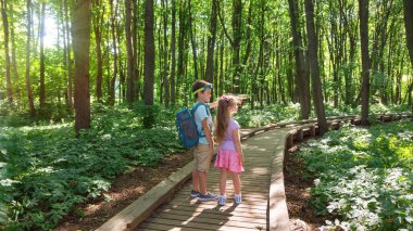 Çocuklar yürüyüş parkındaki dönüm noktasına bakıyorlar. Çocuklar ormandaki ahşap tahtalardan yapılmış iyi donanımlı bir turist yolu boyunca yürüyüş yapıyorlar. Aile eko-turizm kavramı.