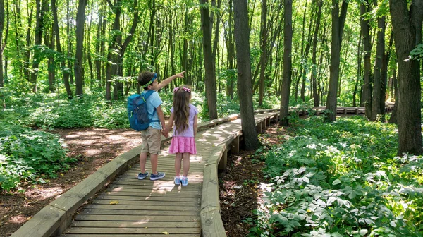 Çocuklar, rezerv ormanında, donanımlı ahşap bir patika boyunca el ele yürüyorlar. Çocuklarla aile gezisi. Çocuklar turistik bir yerde yürüyüş rotası çiziyorlar..