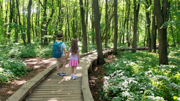 Діти Гуляють Національному Парку Обладнаній Пішохідній Стежці Дорога Лісі Дерев — стокове фото