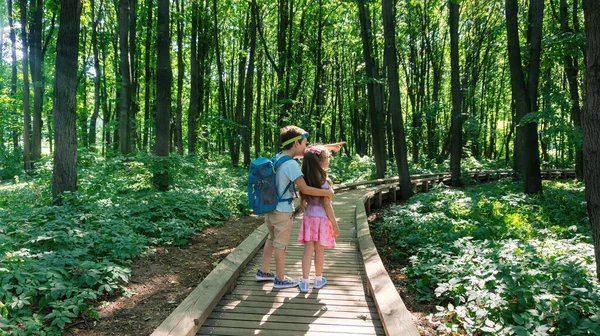 Концепція Сімейного Туризму Діти Слідують Організованій Пішохідній Стежці Національному Парку — стокове фото