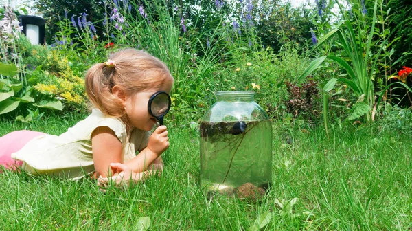 A preschool girl explores life in an aquarium with a magnifying glass on a warm summer day. Glass jar aquarium. Happy childhood concept. Ideas for games with children in the summer outside the city.