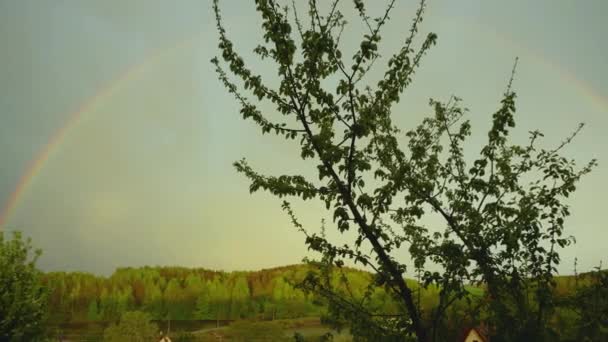 Un arco iris se puede ver detrás de los árboles en el sol que brilla sobre el lago del bosque. — Vídeos de Stock