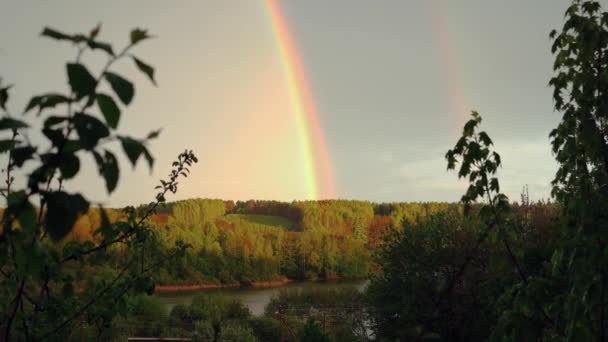 Arco-íris brilhante sobre a costa verde de um lago florestal nos raios do sol. — Vídeo de Stock
