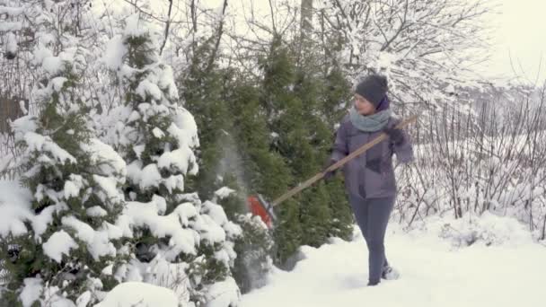 一位年轻的妇女照料着冬日的花园，并把雪从她的花盆上移开. — 图库视频影像