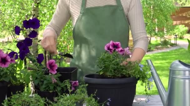 O jardineiro faz potes de flor — Vídeo de Stock