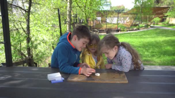 Dzieci robią eksperyment ze spalaniem suchego alkoholu. — Wideo stockowe