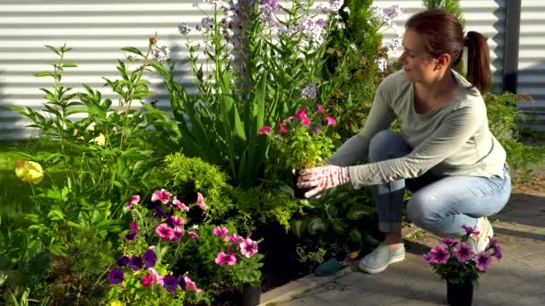 Μια γυναίκα κηπουρός φυτεύει λουλούδια σε έναν κήπο με λουλούδια.. — Αρχείο Βίντεο