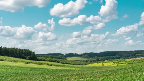 Zicht op vliegende wolken over het gekleurde gemengde grasveld. Time-lapse footage.De wolken vliegen weg in de verte boven het maïsveld. — Stockvideo