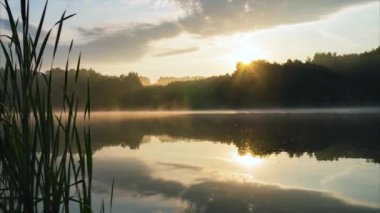 Orman nehrinin üzerinde gün doğumu. Sisli bir sabah. Sis, akan suyun yüzeyinde. 4 bin. Zaman aşımı.
