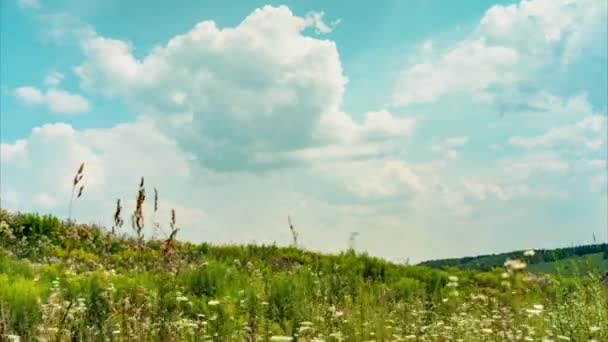 Tijdsverloop van vliegende wolken over een veld van wilde grassen. — Stockvideo