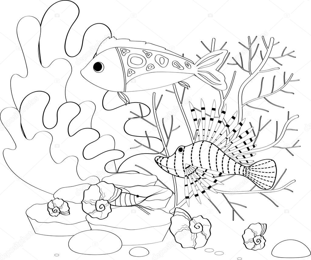 Graphic coral reef fishes