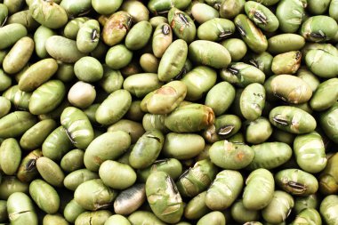 Kurutulmuş soya fasulyesi yakın çekim