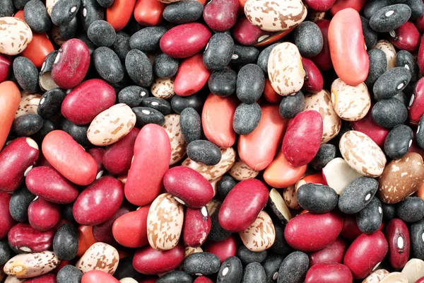 Bean Mix närbild — Stockfoto