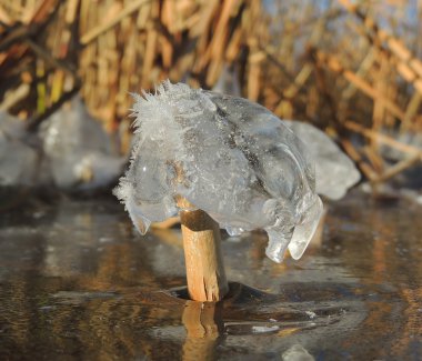 Buz, kristaller ve baston sapı