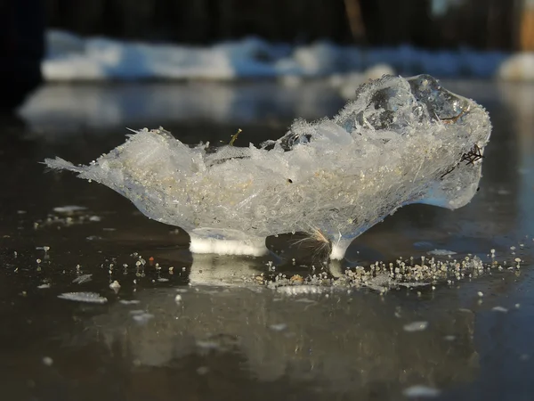 Cristaux de glace sur le ramule gelé et granules de glace en dessous — Photo