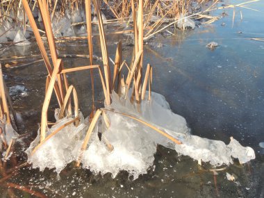 Buz, kristaller ve baston sapı