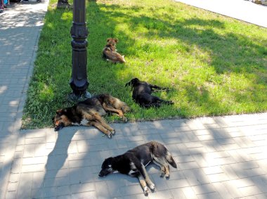 Sıcak bir günde gevşeme