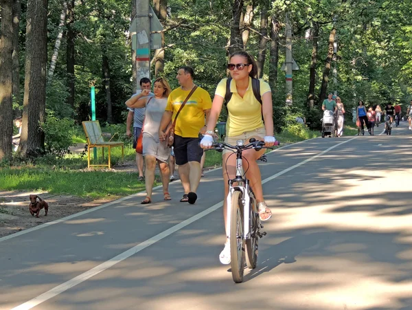 Along the park path — Stock Photo, Image