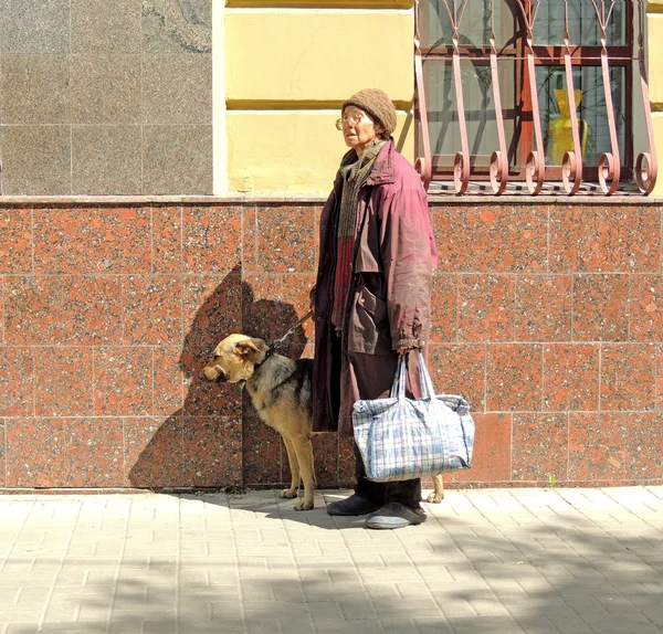 Mulher com cão Fotografia De Stock
