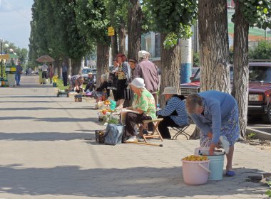 Perakende meyve kendi bahçeleri