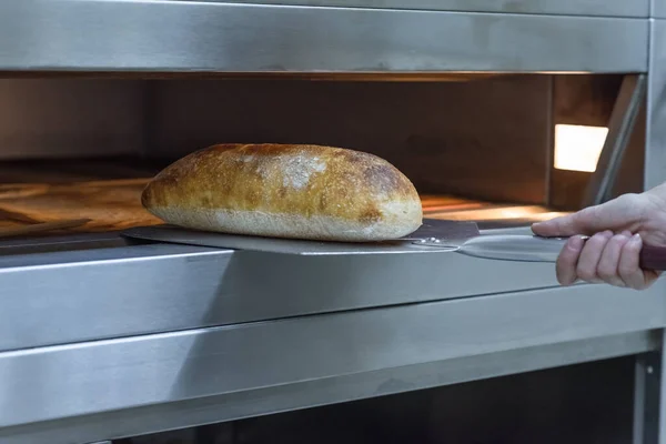 Ciabatta ekmeği endüstriyel bir fırında. Fırında ekmek yapıyorum.