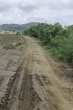 çamurlu toprak yol üzerinde lastik izleri