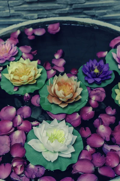 Lotus artificiel - Filtre vintage — Photo