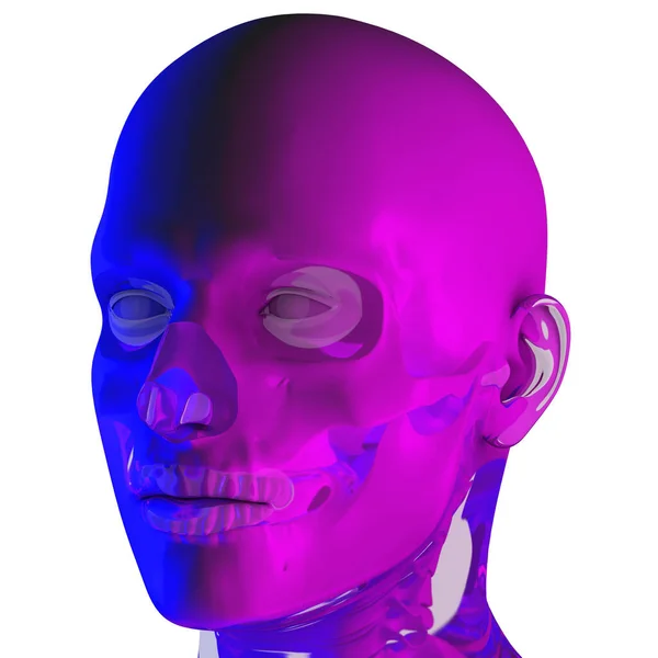 Rendering Illustraion Uper Skull — Stock Photo, Image