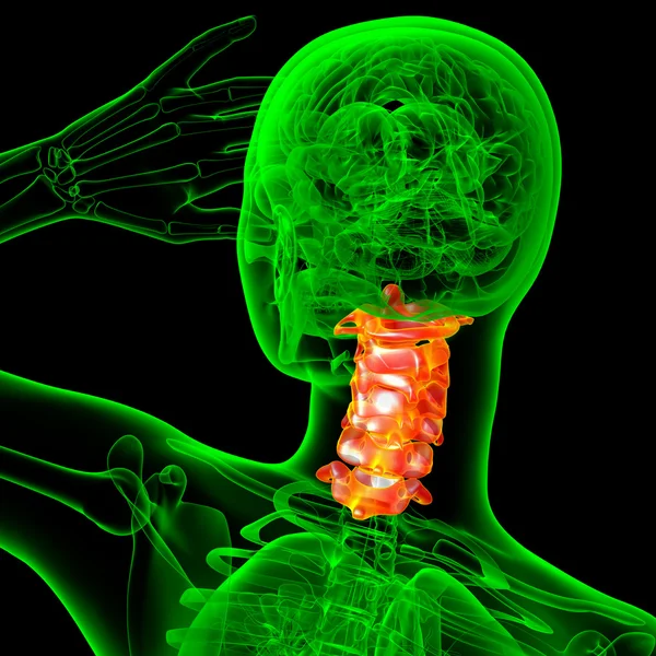 3d renderizar ilustração médica da coluna cervical — Fotografia de Stock