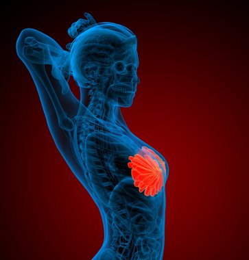 3D render Medikal illüstrasyon insan meme