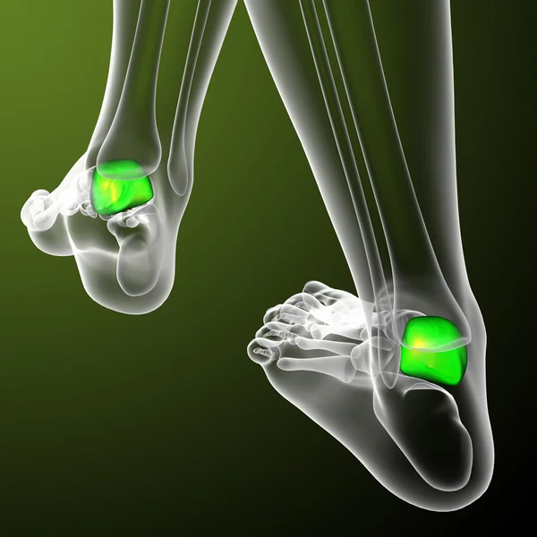 3d rendere illustrazione medica dell'osso del talo — Foto Stock
