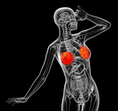 3D render Medikal illüstrasyon insan meme 