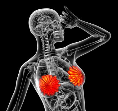 3D render Medikal illüstrasyon insan meme 