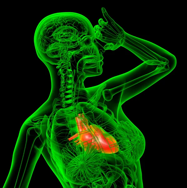 3D göra medicinsk illustration av hjärtat — Stockfoto