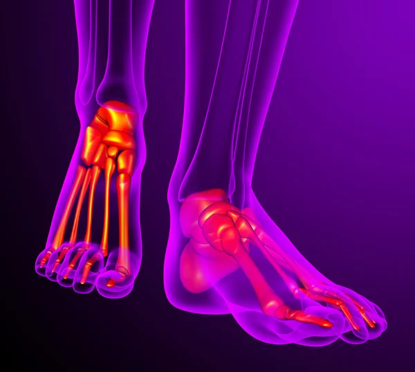 3d rendir ilustración médica del hueso de los pies —  Fotos de Stock