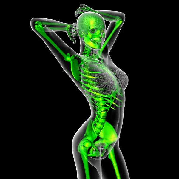 3D-Darstellung der medizinischen Darstellung des Skeletts — Stockfoto