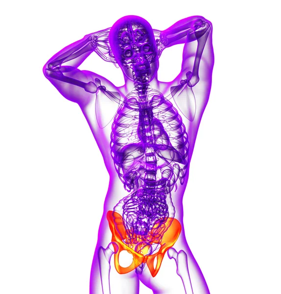 3d hacer ilustración médica de la cadera —  Fotos de Stock
