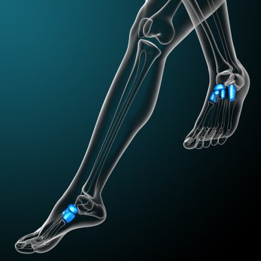 tarsals kemik 3D render tıbbi çizimi