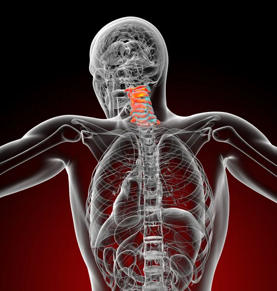 3d rendir ilustración médica de la columna cervical — Foto de Stock