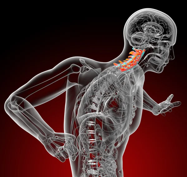 3d rendir ilustración médica de la columna cervical —  Fotos de Stock